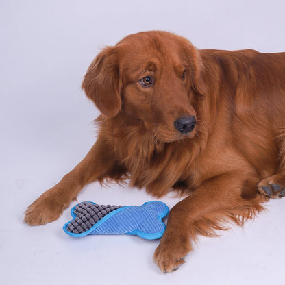 Cadeautips hond verjaardag – Inspiratie voor je beste vriend