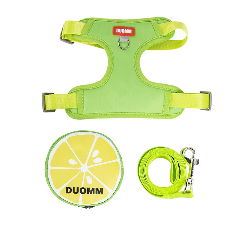 Tuigje met quick-release sluiting – Snel los bij nood