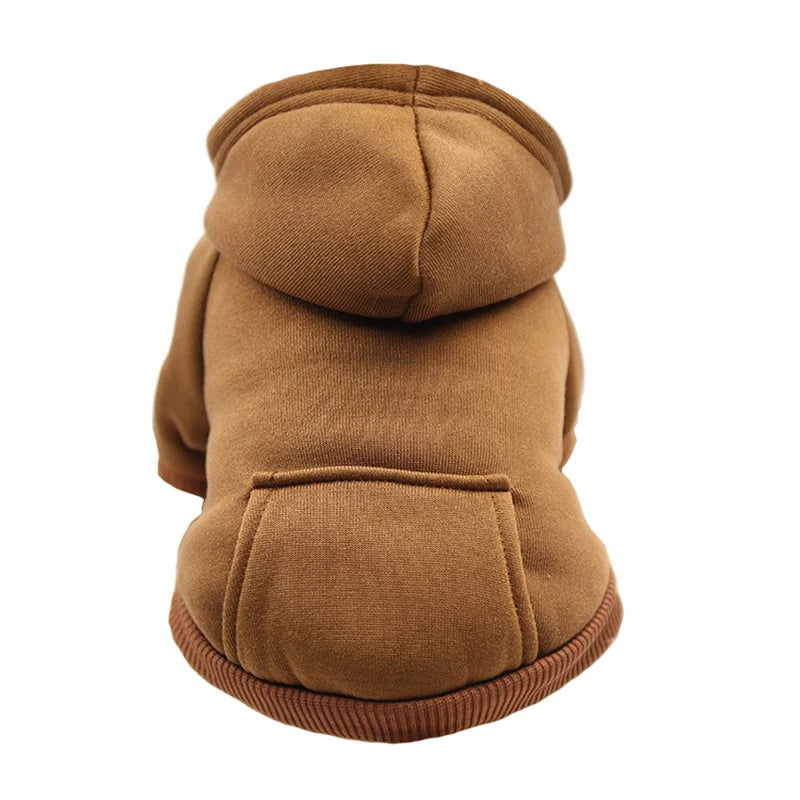Samen cadeau voor hond en eigenaar – Verbonden plezier