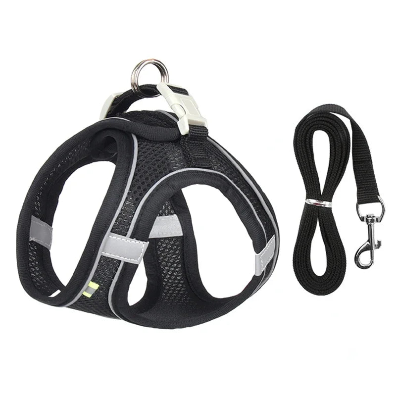 Stevig honden tuigje met metalen ring – Voor sterke honden