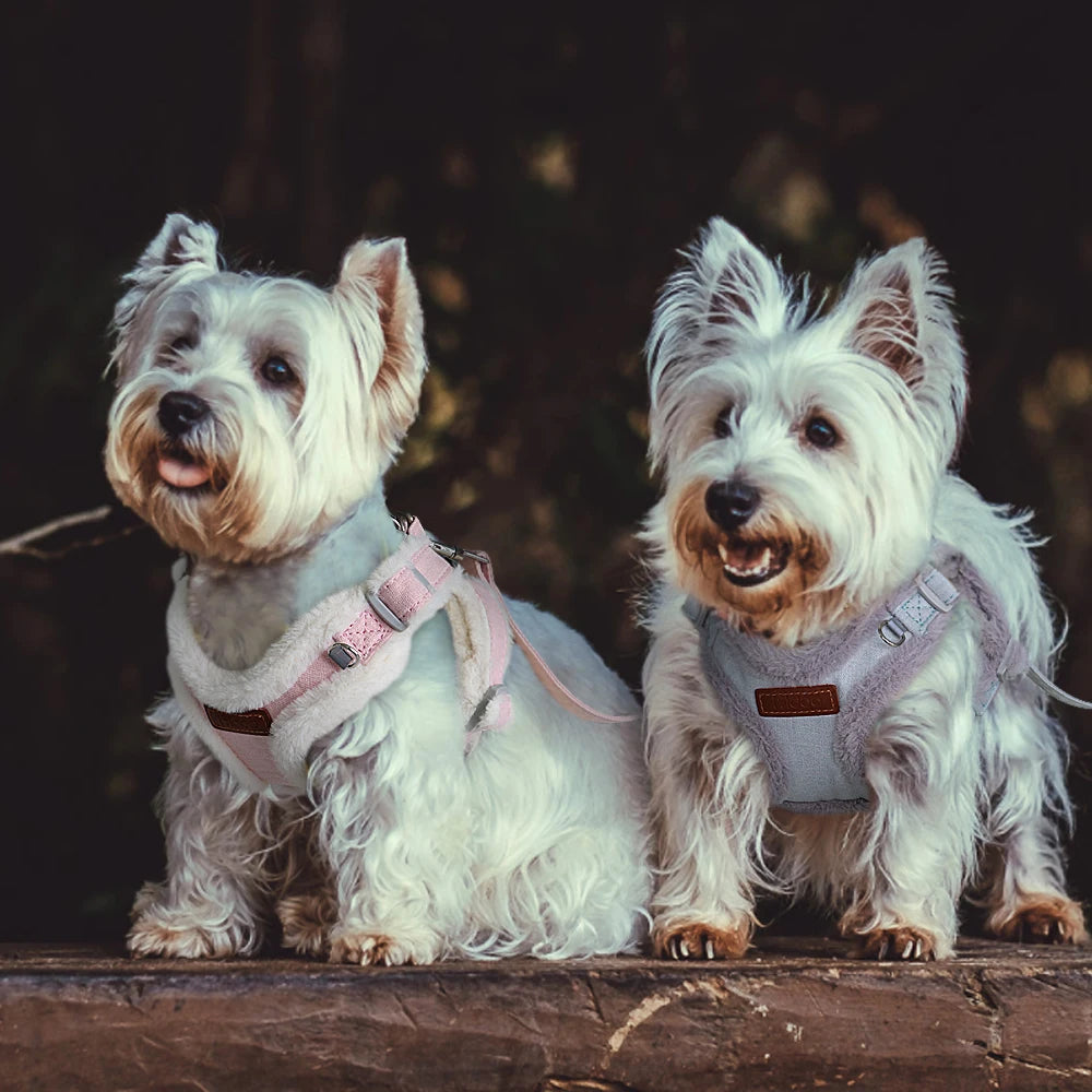 Tuigje met extra brede banden – Voor krachtige honden