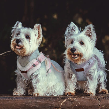 Tuigje met extra brede banden – Voor krachtige honden