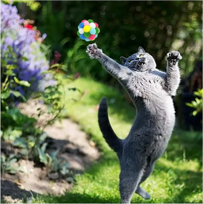 Kattenspeeltjes Action schattig en goedkoop – Perfect voor kittens