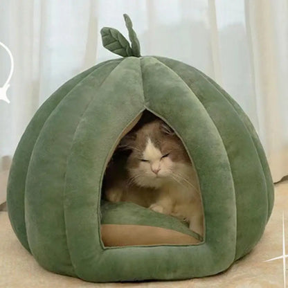 Kattenmand groot met instap – Voor oudere katten