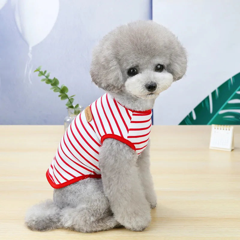 Cadeau hond speeltouw – Voor eindeloos plezier