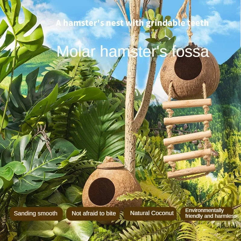 Gamma vogelhuisje met brede ingang – Voor grotere vogels