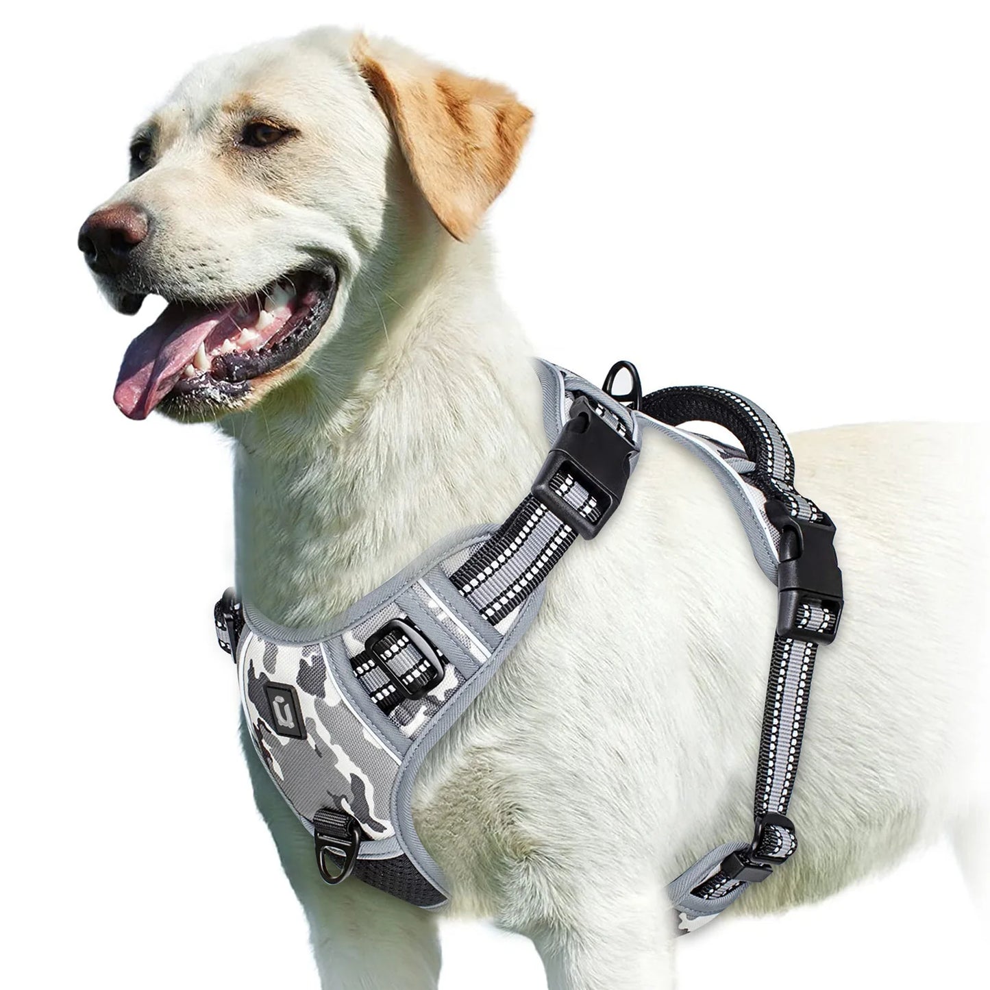 Action honden tuigje met kleuraccent – Leuk en opvallend