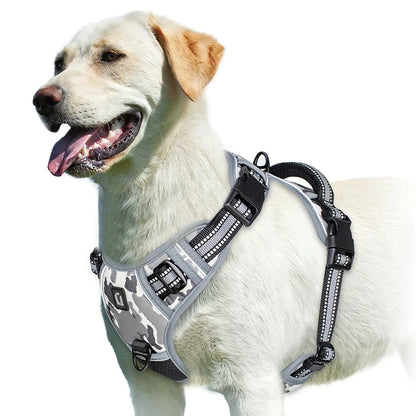 Action honden tuigje met kleuraccent – Leuk en opvallend