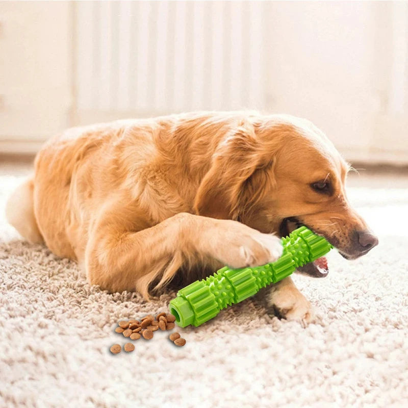 Cadeauset voor hond en eigenaar – Perfect duo pakket