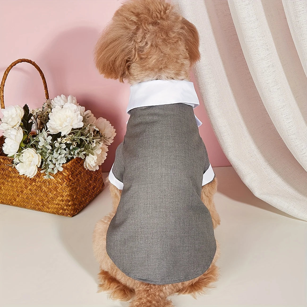 Cadeau hond en baasje set – Samen in stijl