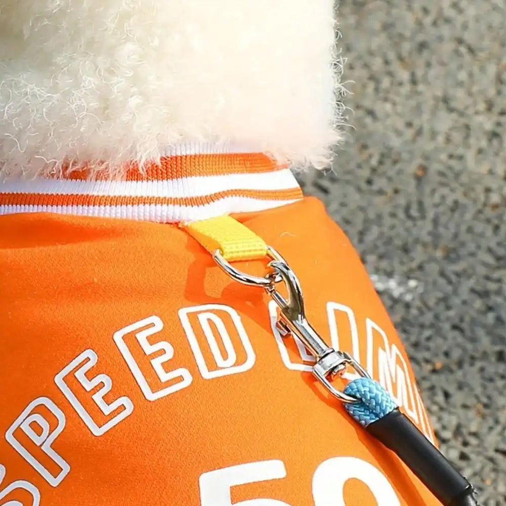 Verjaardagspakket hond – Klaar om te geven