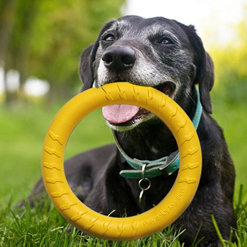Cadeauset hond verjaardag – Spelen en knabbelen