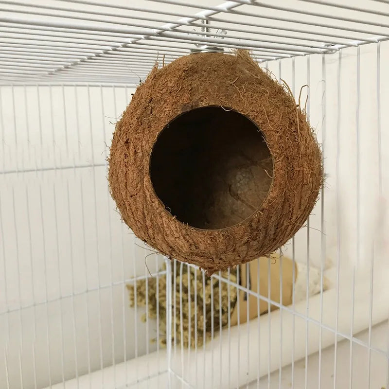 Vogelhuisje Action goedkoop – Goede prijs-kwaliteit