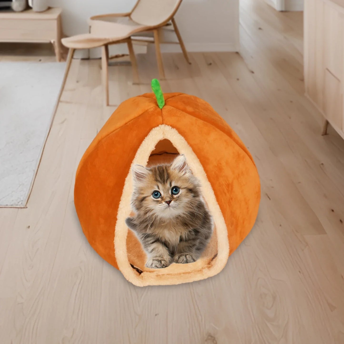 Kattenmand met opstaande rand – Voor extra geborgenheid