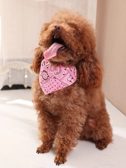 Verjaardagsbox hond – Snoep, speelgoed en liefde