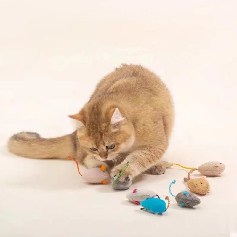 Kattenspeelgoed voor energieke katten – Houd ze in beweging