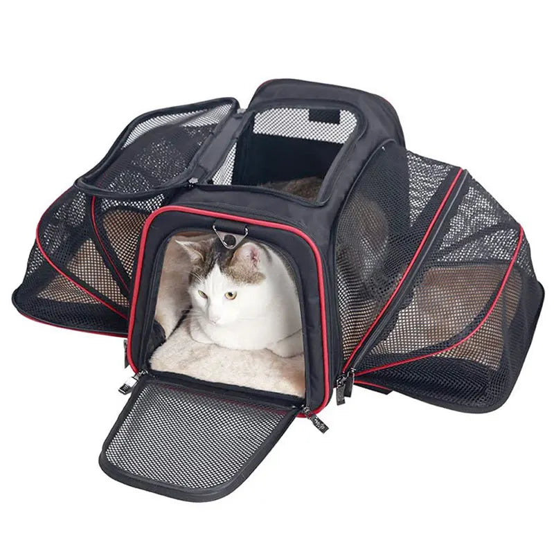 Hondentas – Comfortabele draagtas voor kleine honden