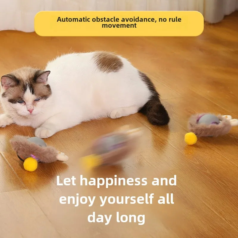 Speelbal voor katten – Rollend plezier