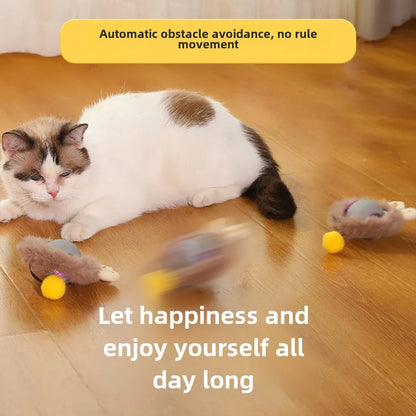 Speelbal voor katten – Rollend plezier