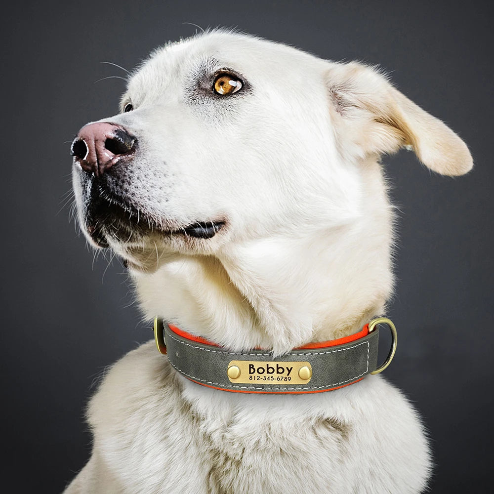 Cadeautje voor hond – Klein gebaar, grote vreugde