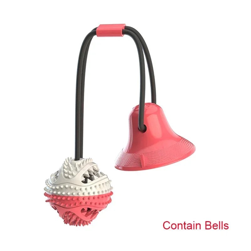 Cadeaupakket hond met ballen en snacks – Spelen en snoepen