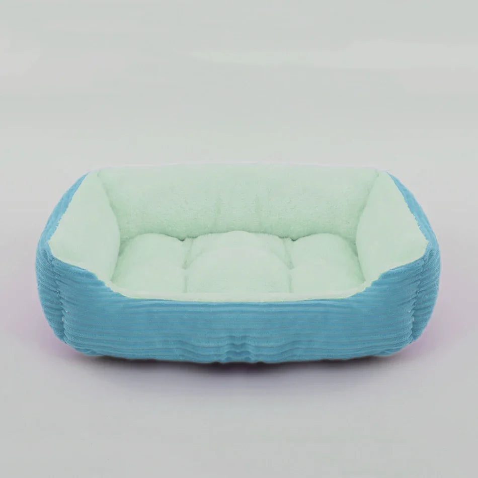 Kattenmand in Scandinavisch design – Modern en minimalistisch