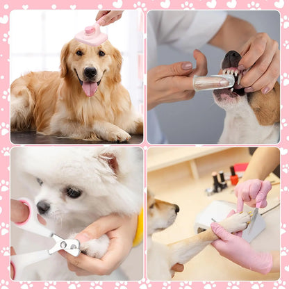 Cadeautips hond verjaardag – Inspiratie voor je beste vriend