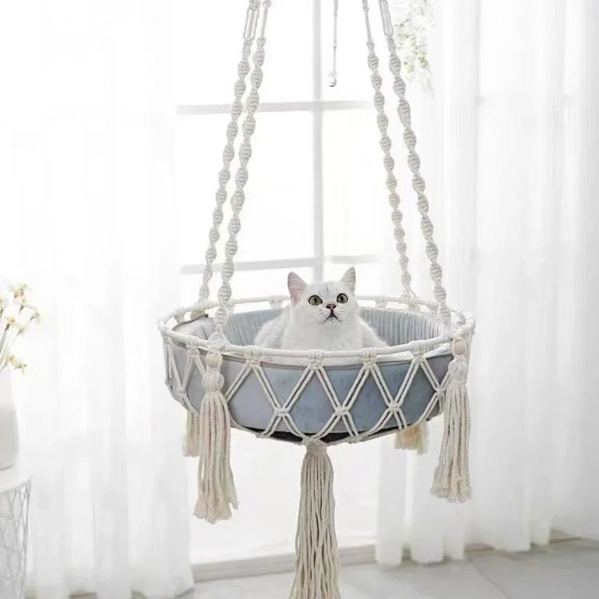 Comfortabele kattenmand Action – Betaalbare rustplek