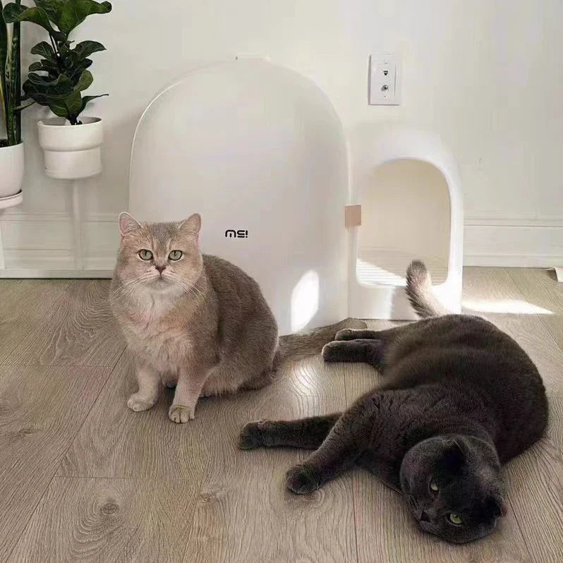 Kattenbak kopen – Voor een hygiënische kattenomgeving