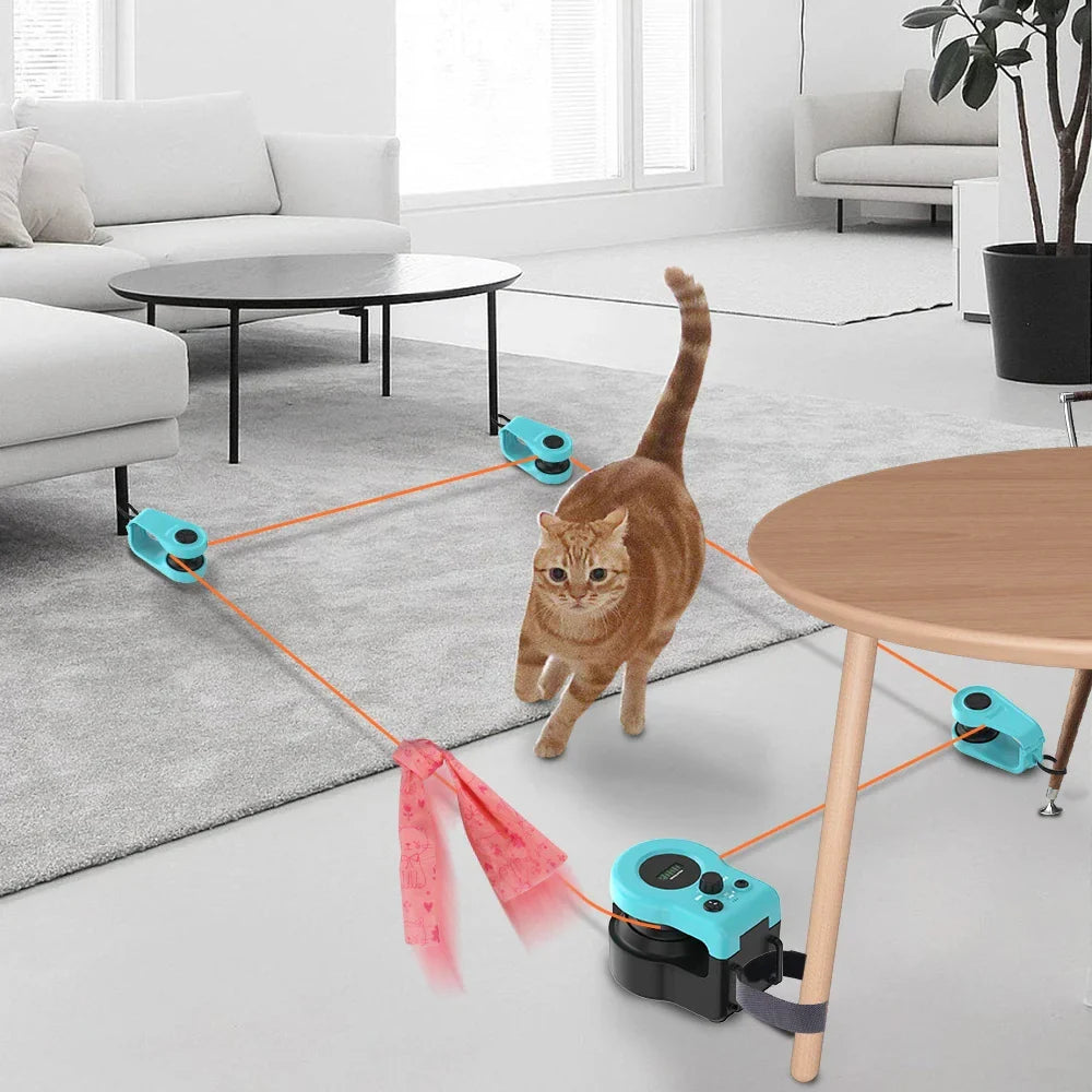 Kattenspeeltje voor interactief spel – Perfect voor samen spelen