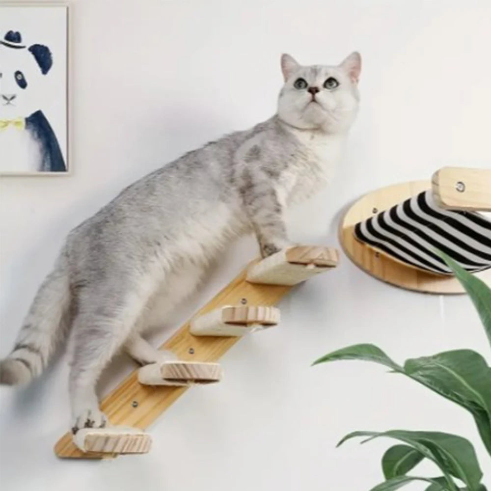 Kattenpaal voor meerdere katten – Ruimte en speelplezier