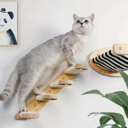 Kattenpaal voor meerdere katten – Ruimte en speelplezier