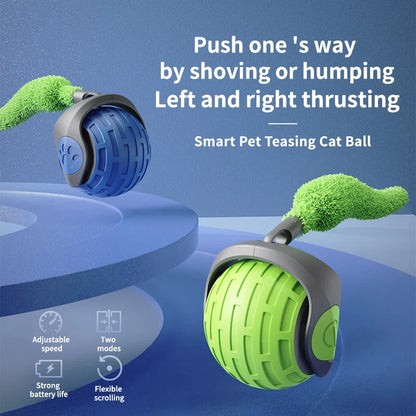 Katten speeltjes set – Alles in één pakket