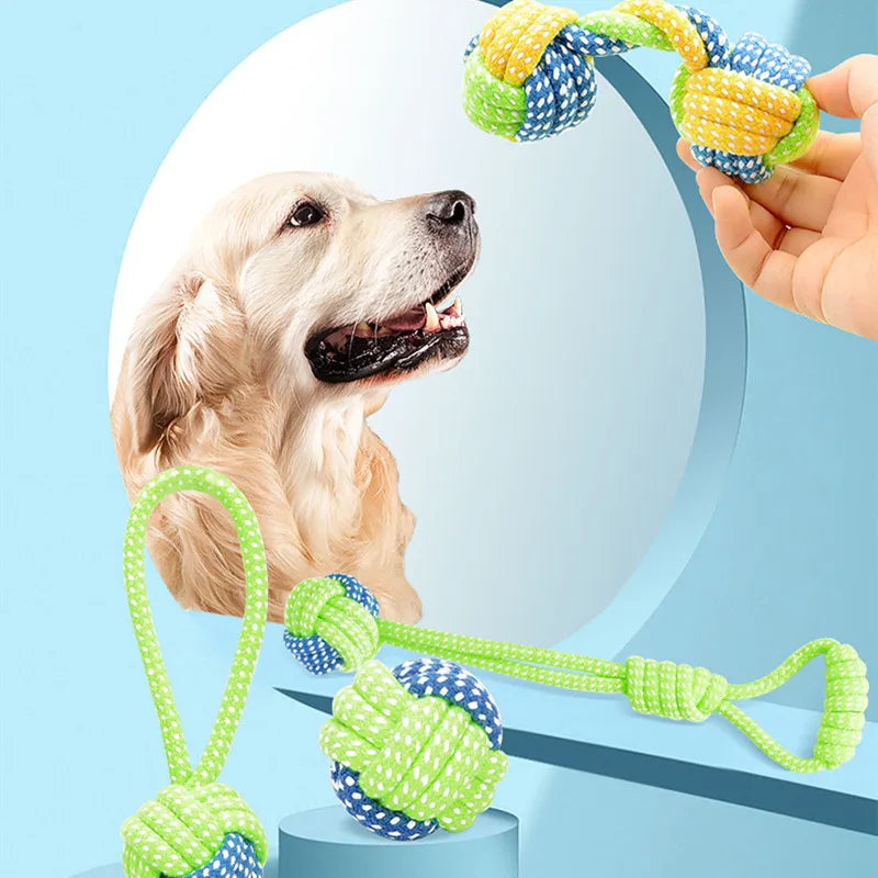 Speelbox als cadeau voor hond – Verrassend en leuk