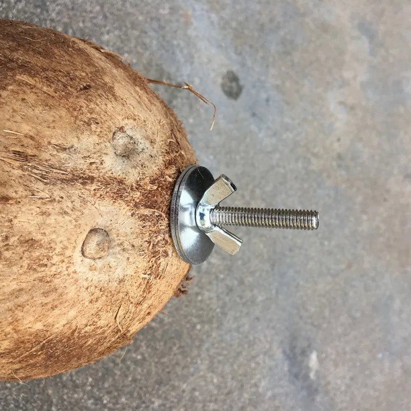 Action vogelhuisje vierkant – Simpel en functioneel