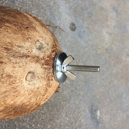 Action vogelhuisje vierkant – Simpel en functioneel