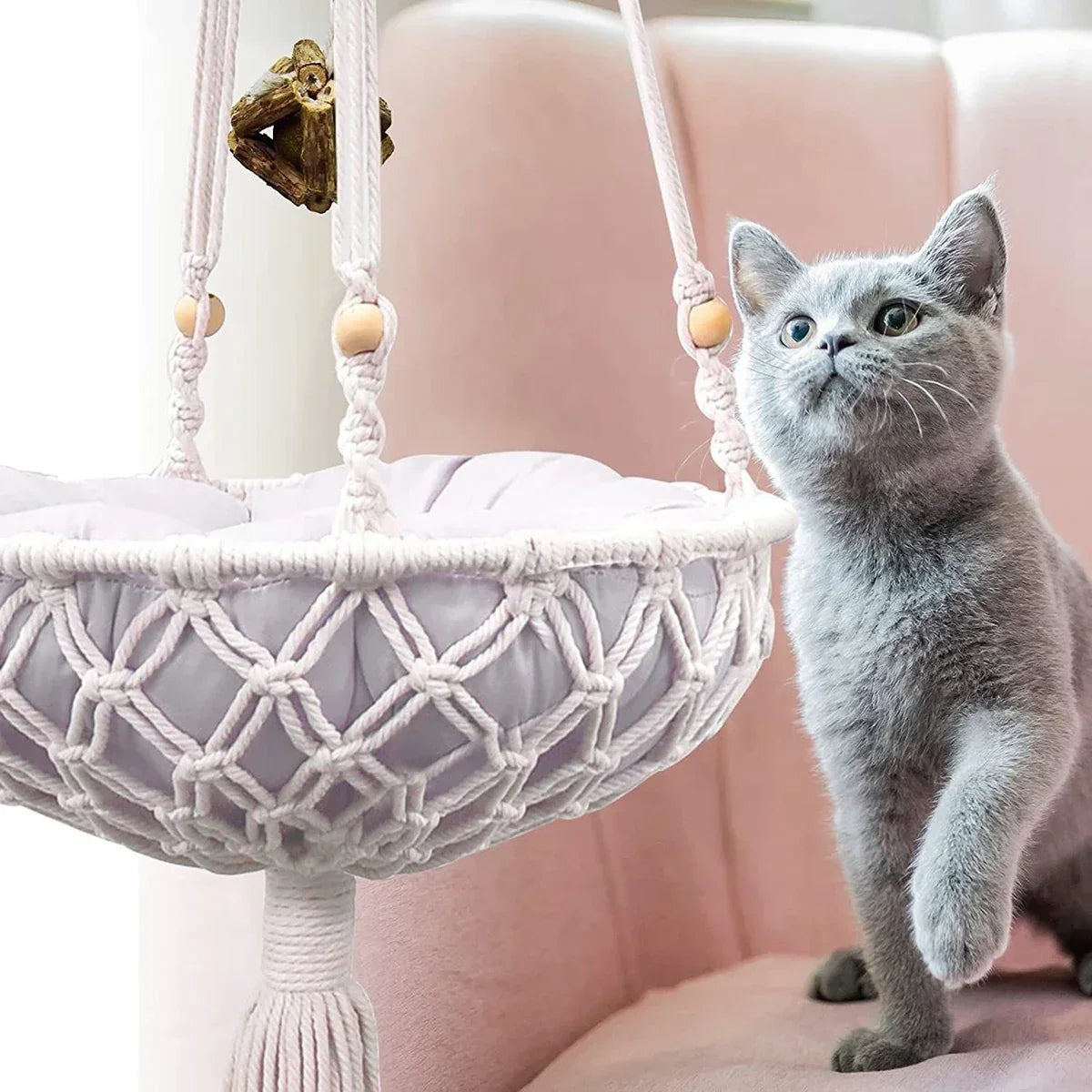 Action kattenmand compact – Voor kleinere ruimtes