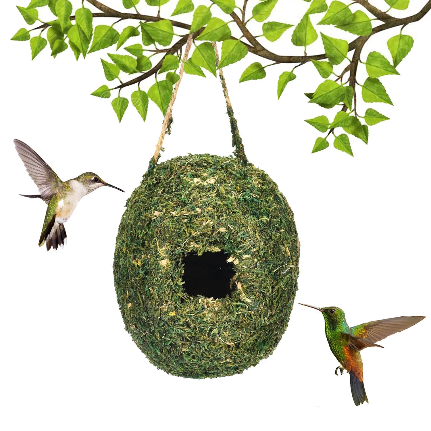 Xenos vogelhuisje met kantmotief – Elegant design
