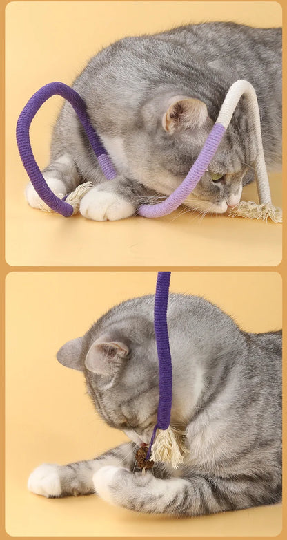 Leuk kattenspeeltje met LED – Visueel aantrekkelijk