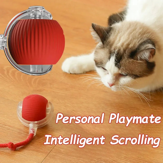 Katten speelgoed Action met hanger – Voor deurknoppen of krabpalen