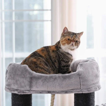 Kattenpaal extra sterk voor Maine Coons – Veilige speelplek