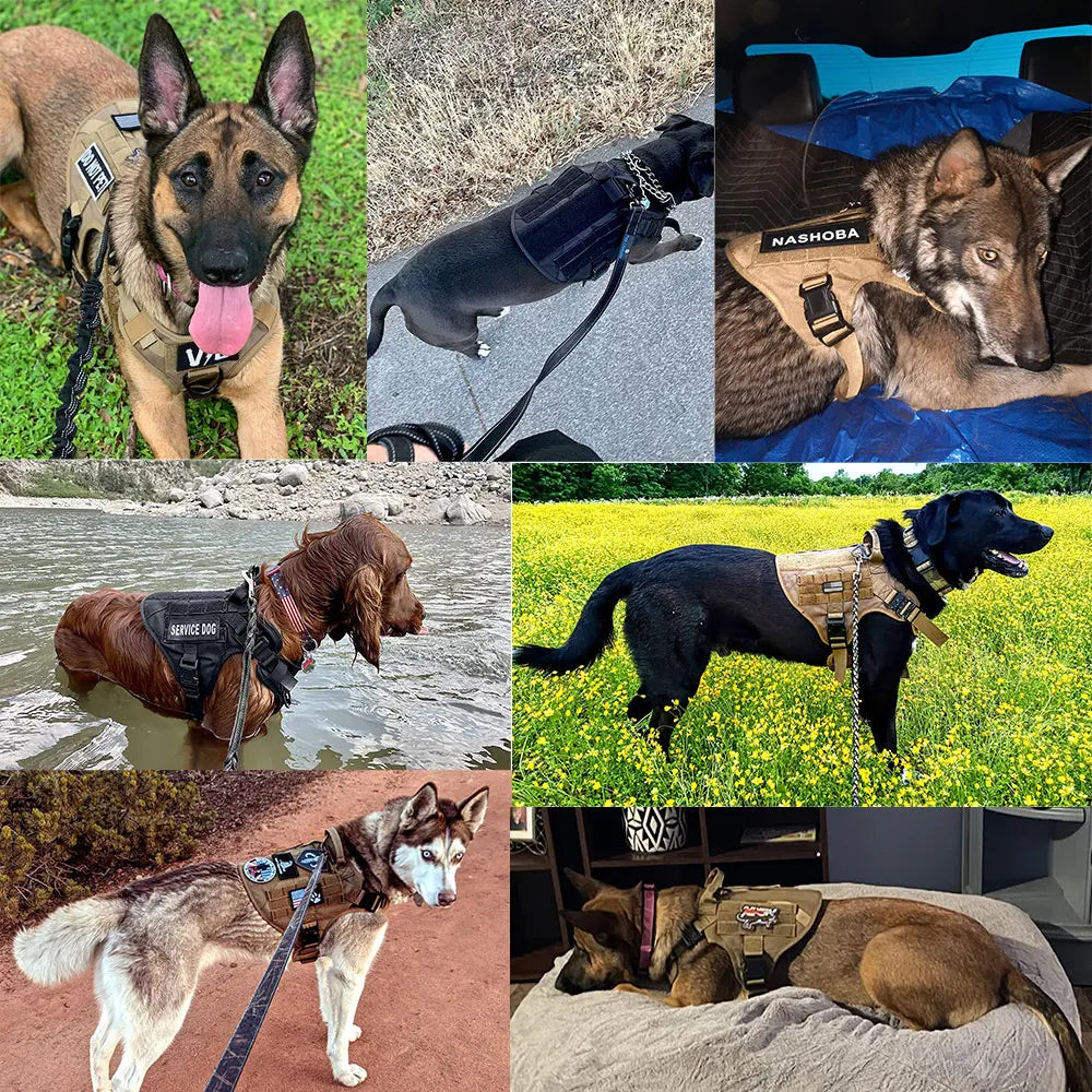 Zacht tuigje hond met brede banden – Comfort zonder knellen