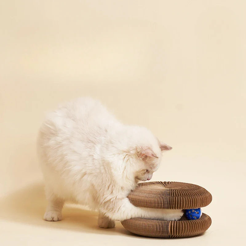 Leuk kattenspeeltje met rubberen ring – Zacht voor tanden