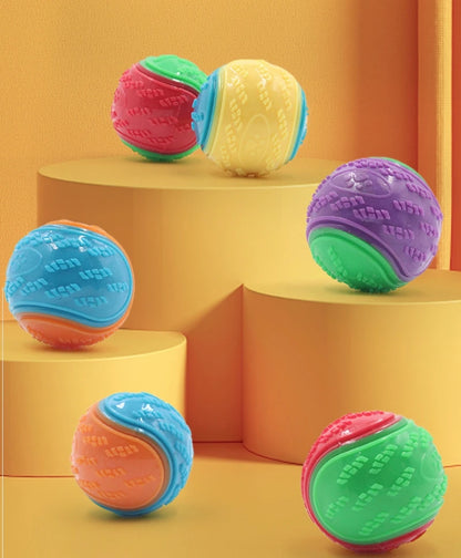 Hondentaart cadeau – Verjaardagsfeest compleet