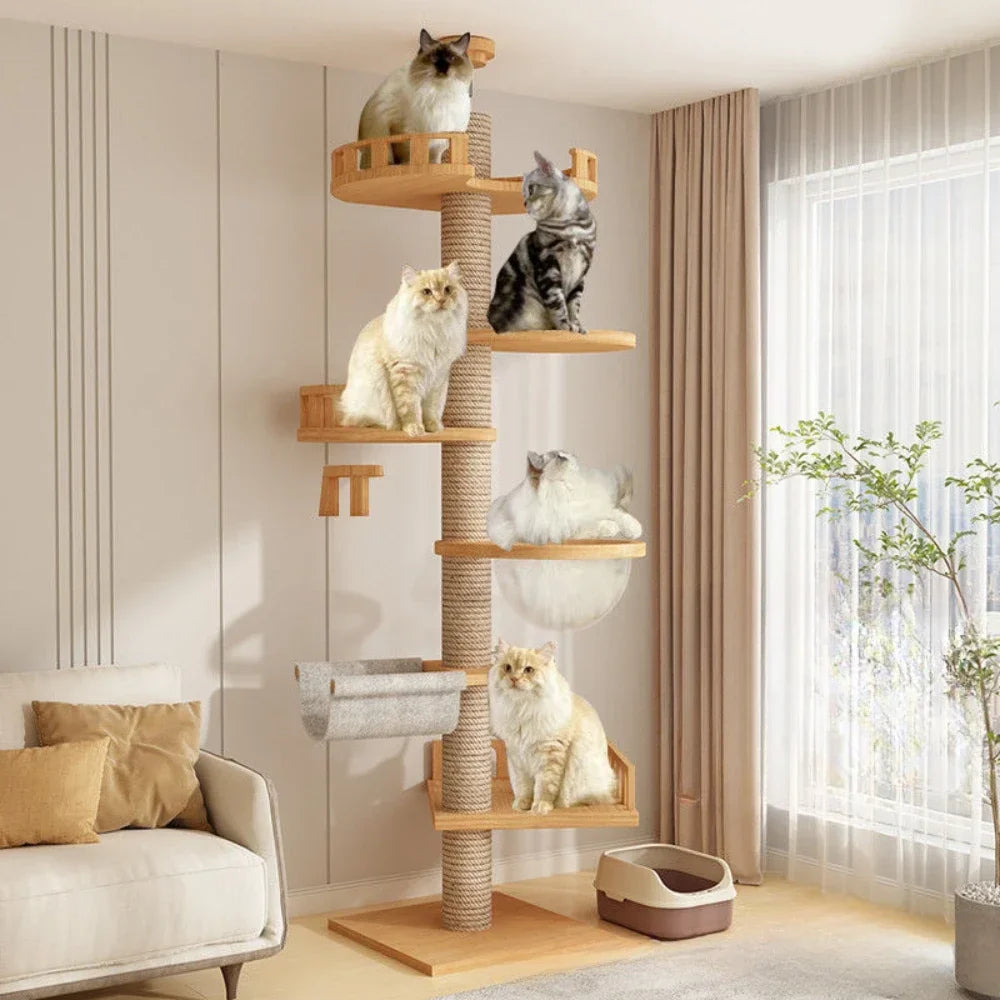 Kattenpaal met ingebouwde trapjes – Gemakkelijk klimmen