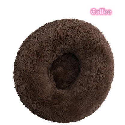 Cadeautip hond – Iets leuks voor elke pup