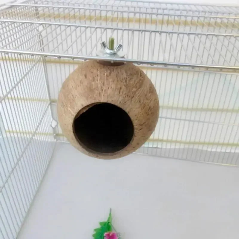 Vogelhuisje Gamma – Stevig en praktisch ontwerp