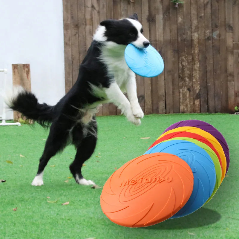 Verjaardagsdoos hond cadeau – Vier het groots