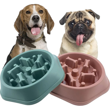 Cadeau hond – Verras je trouwe viervoeter