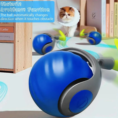 Speelvis met catnip – Onweerstaanbaar